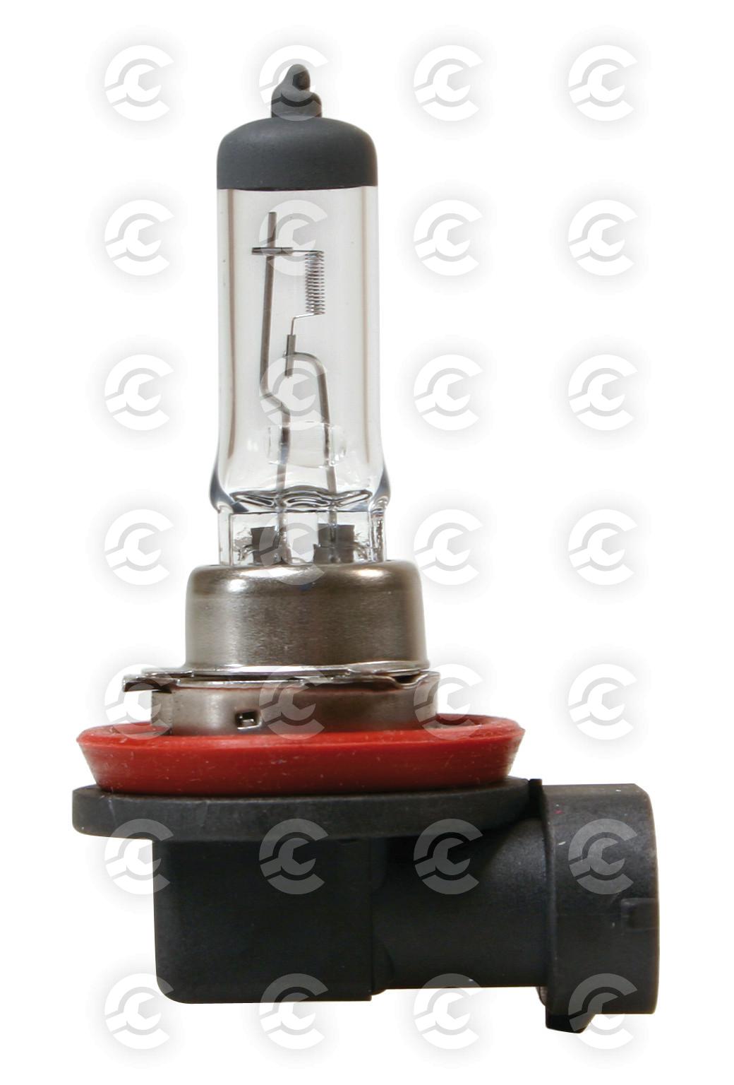 12V Lampada alogena - H8 - 35W - PGJ19-1 - 1 pz  - D/Blister