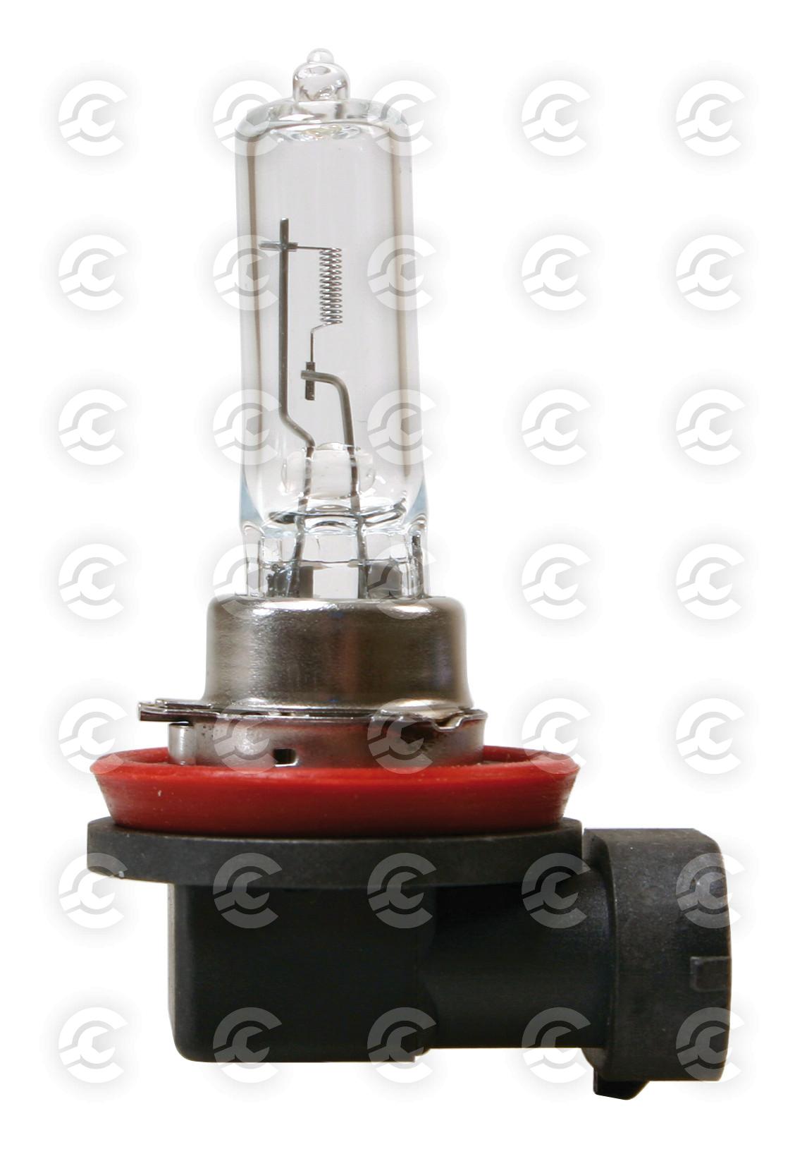 12V Lampada alogena - H9 - 65W - PGJ19-5 - 1 pz  - Scatola