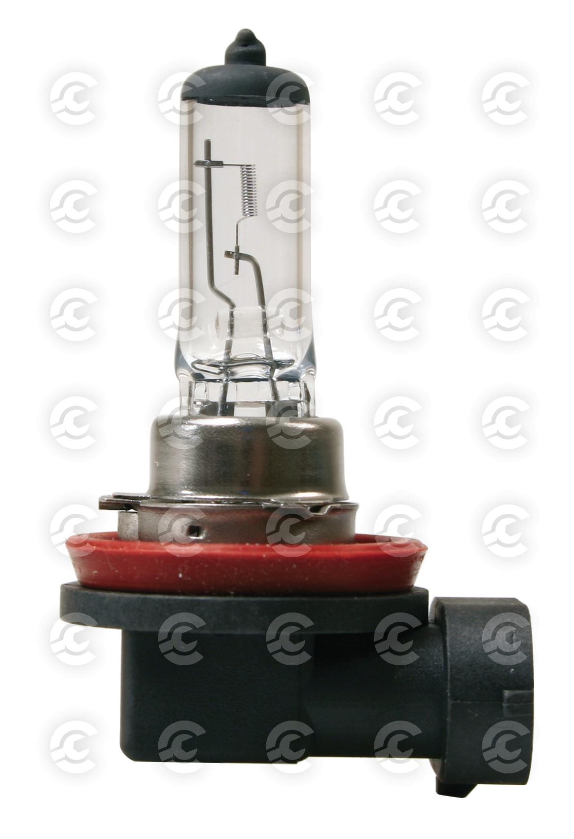 12V Lampada alogena - H11 - 55W - PGJ19-2 - 1 pz  - Scatola