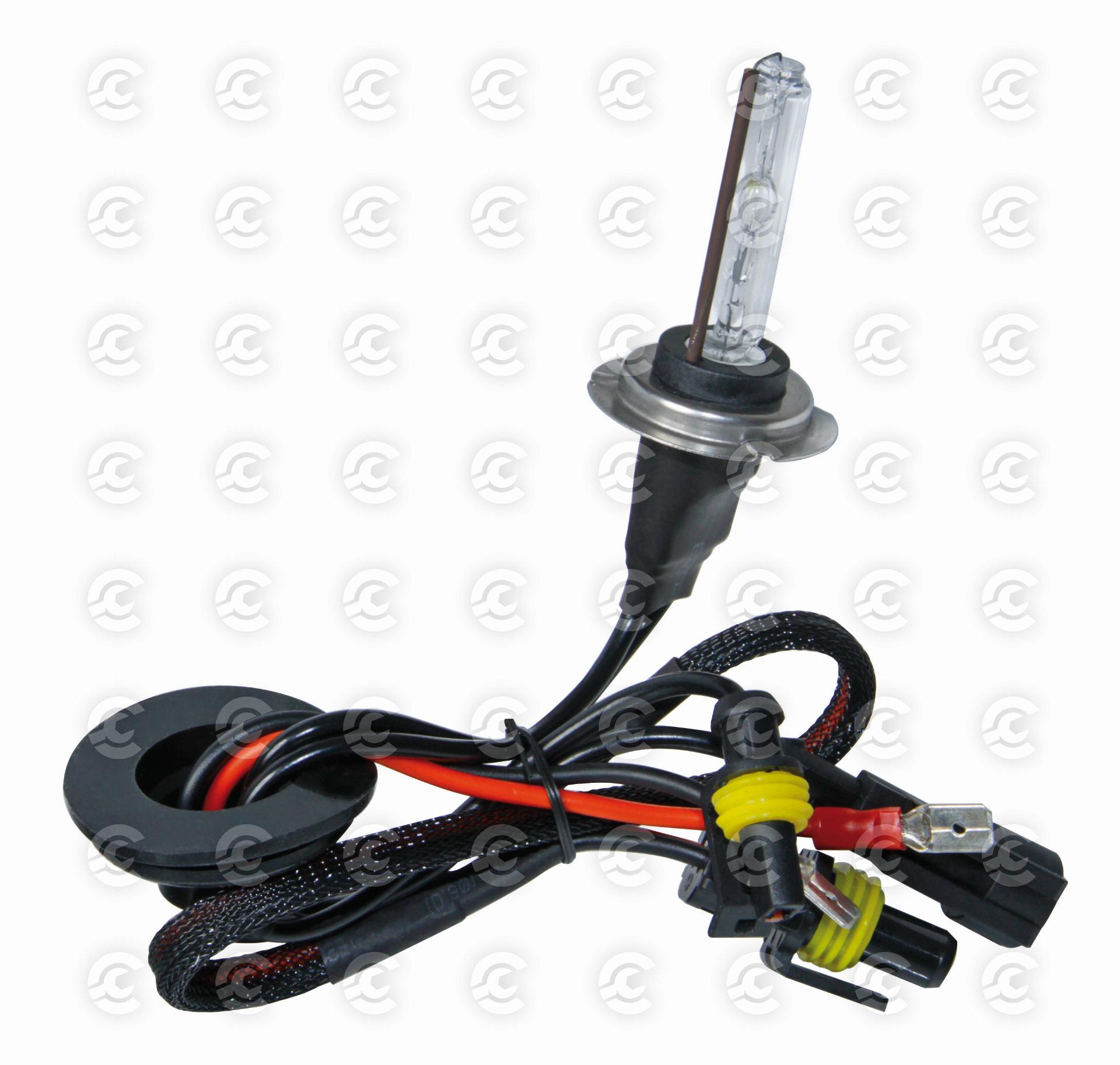 12/24V Lampadina HID Xenon 5.000K - H7 - 1 pz  - Scatola