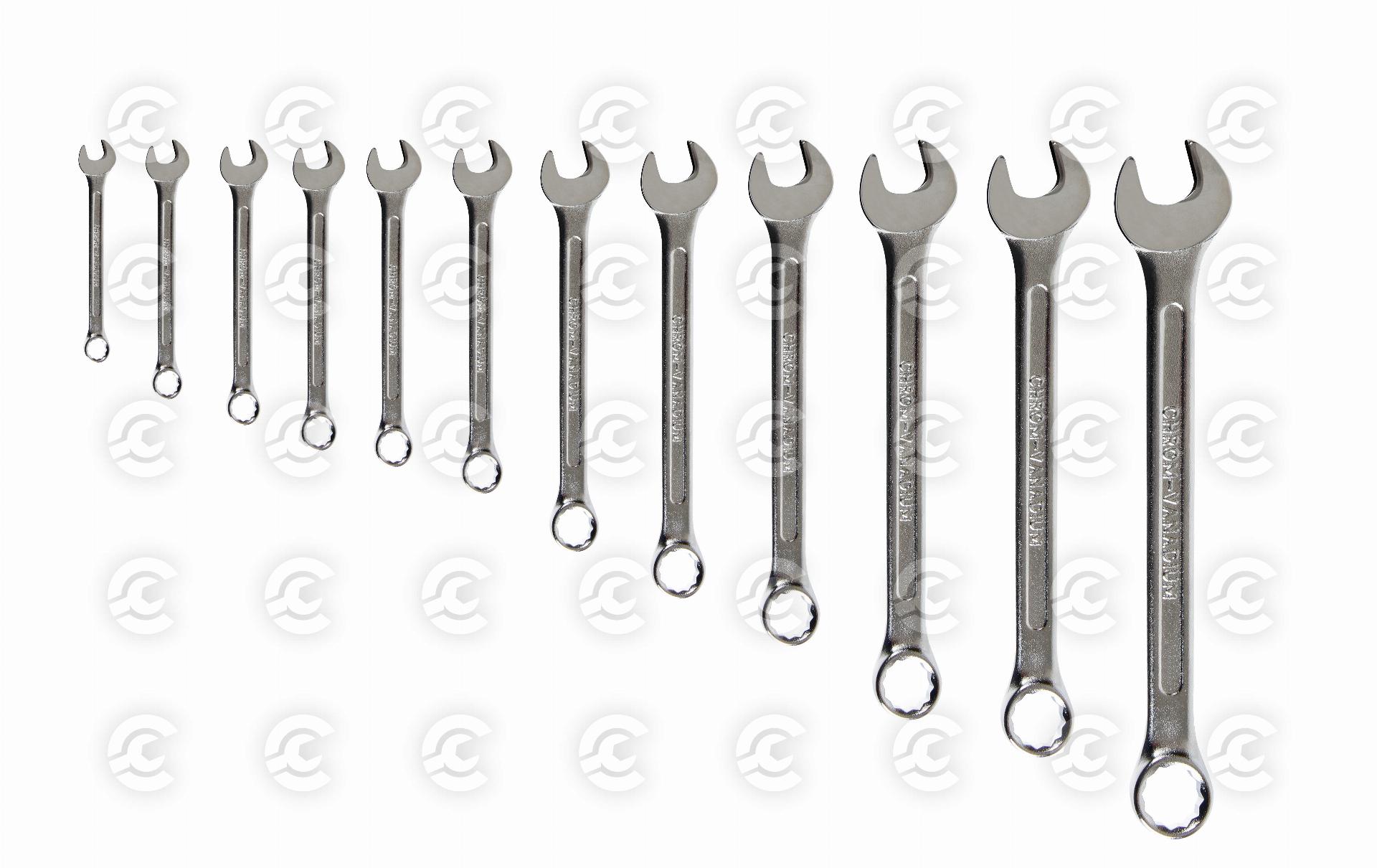 Set 12 chiavi combinate