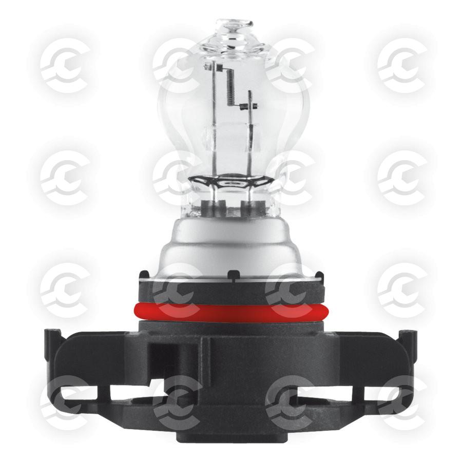 12V Original Line - PSX24W - 24W - PG20-7 - 1 pz  - Scatola